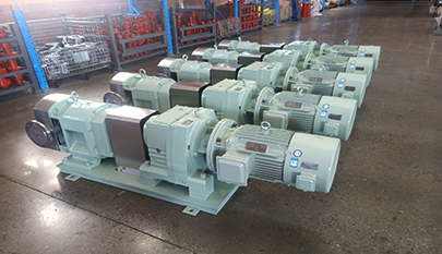 3RP Series Rotary Lobe Pump
